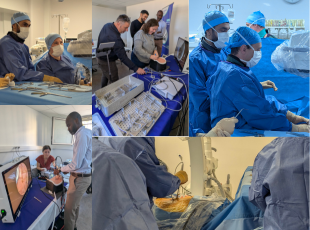 chirurchie, formation