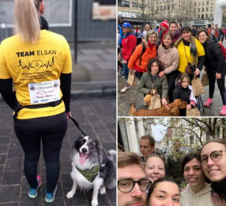 foulées valenciennoises elsan 