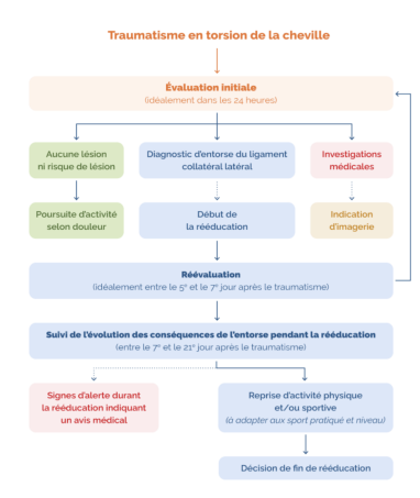 tableau récapitulatif entorse de la cheville HAS