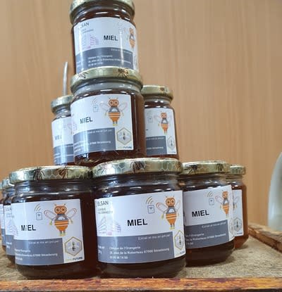 premiers pots de miel de la clinique de l'orangerie miel type miel de forêt