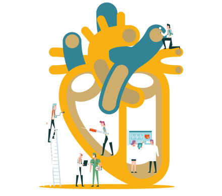 Les facteurs de risques cardiovasculaires