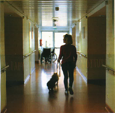 Clinique de l'Ormeau