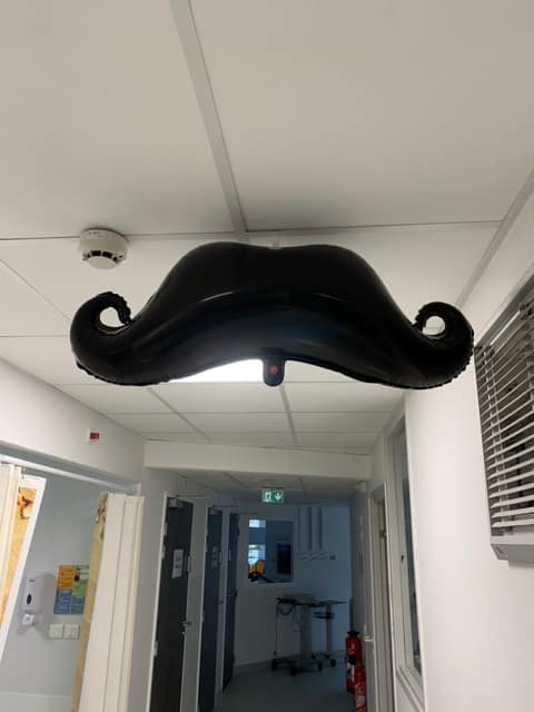movember hpsc