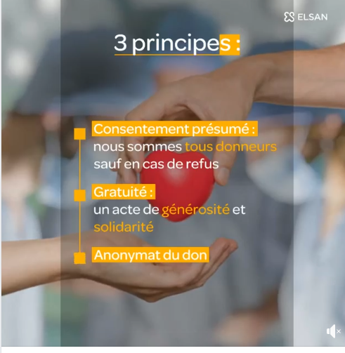 Lien vers Vidéo 