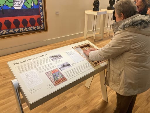 Musée centre basse vision somain