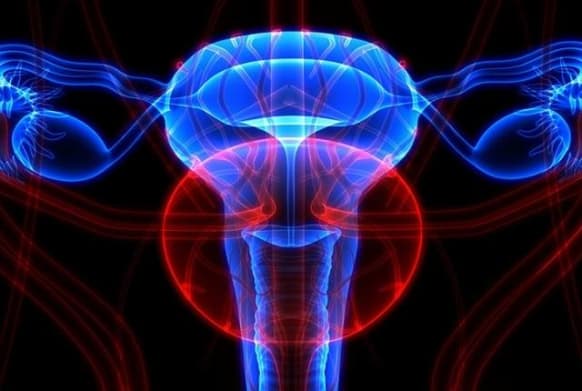 bartholinite definition