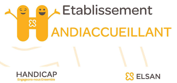 Handicap Elsan