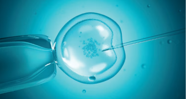 centre AMP MAJORELLE