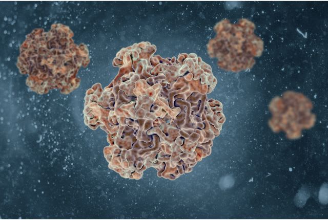 Papillomavirus : image de synthèse de papillomavirus