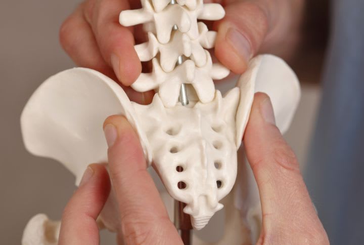 Douleur ligamentaire grossesse : photo d'une maquette de l'uterus d'une femme