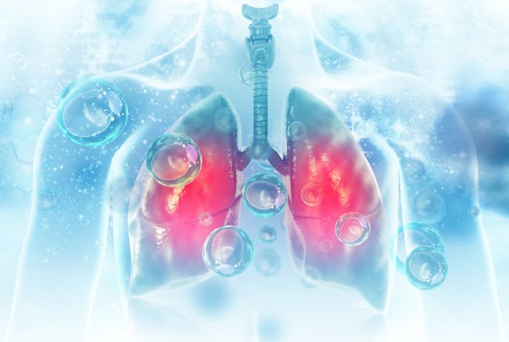 Pneumoconiose : image de poumons humains