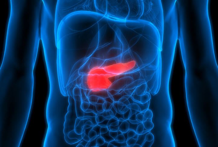 Cancer du pancréas. Image de synthèse montrant l'emplacement du pancréas dans l'abdomen.