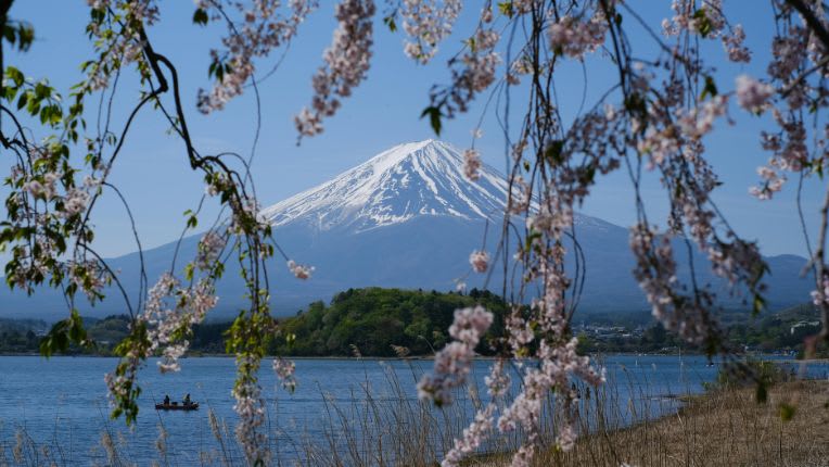 Vaccin Japon. Vue traditionnelle du mont Fuji surplombant le lac avec un cerisier en fleurs au premier plan.