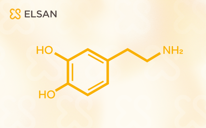 Structure chimique de la dopamine
