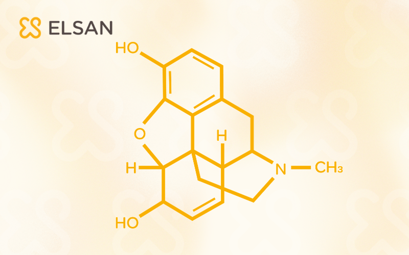 Structure chimique de la morphine