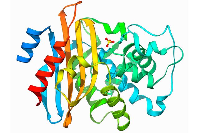 Phosphatases alcalines