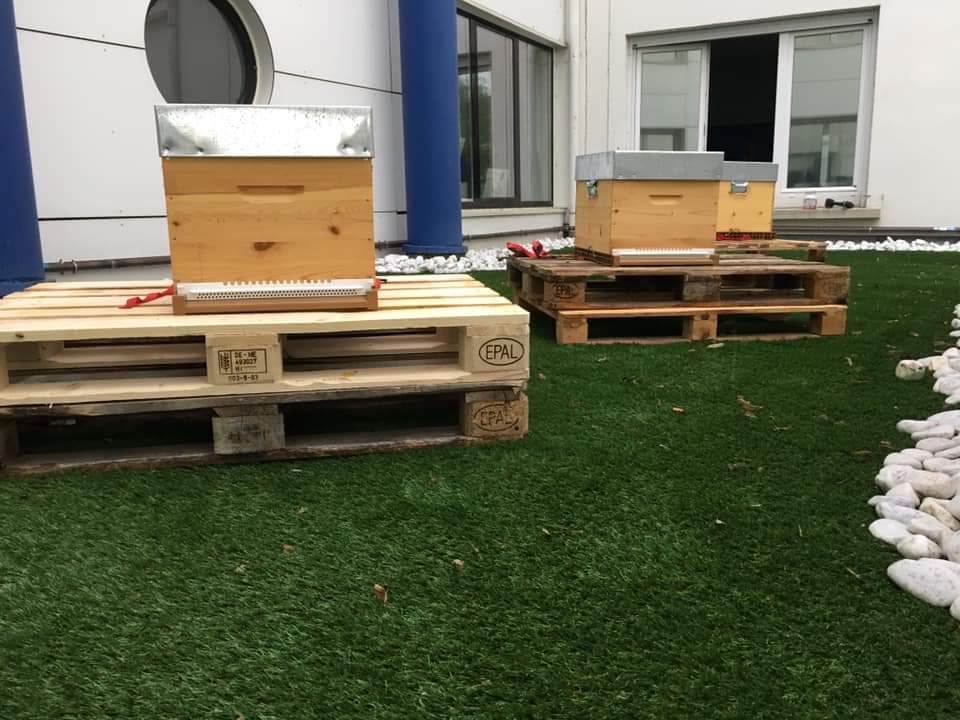 Clinique de l'Orangerie ruches abeilles miel terrasse