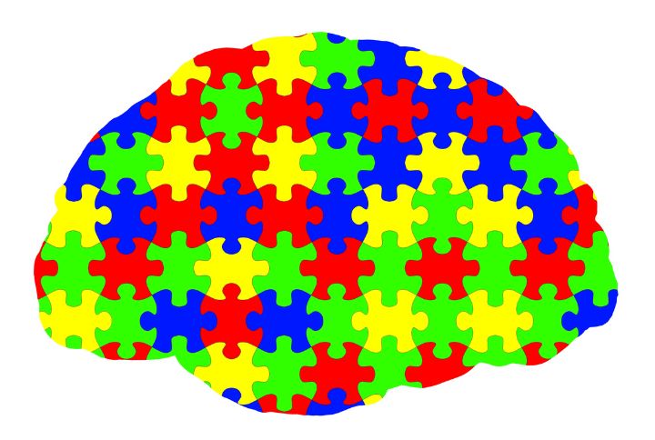 Syndrome d’asperger et troubles du spectre de l’autisme (TSA), qu’est-ce ? Image d'un cerveau formé de multiples pièces de puzzle de toutes les couleurs.
