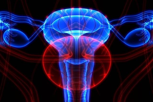 bartholinite definition