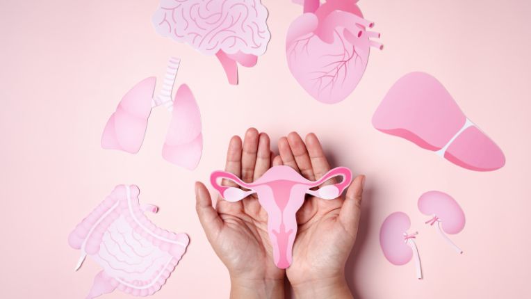 Quels sont les premiers symptômes d’un cancer gynécologique ? Image avec deux mains sur fond rose tenant une image de l'appareil génital féminin entourée de symboles représentant l'anatomie.