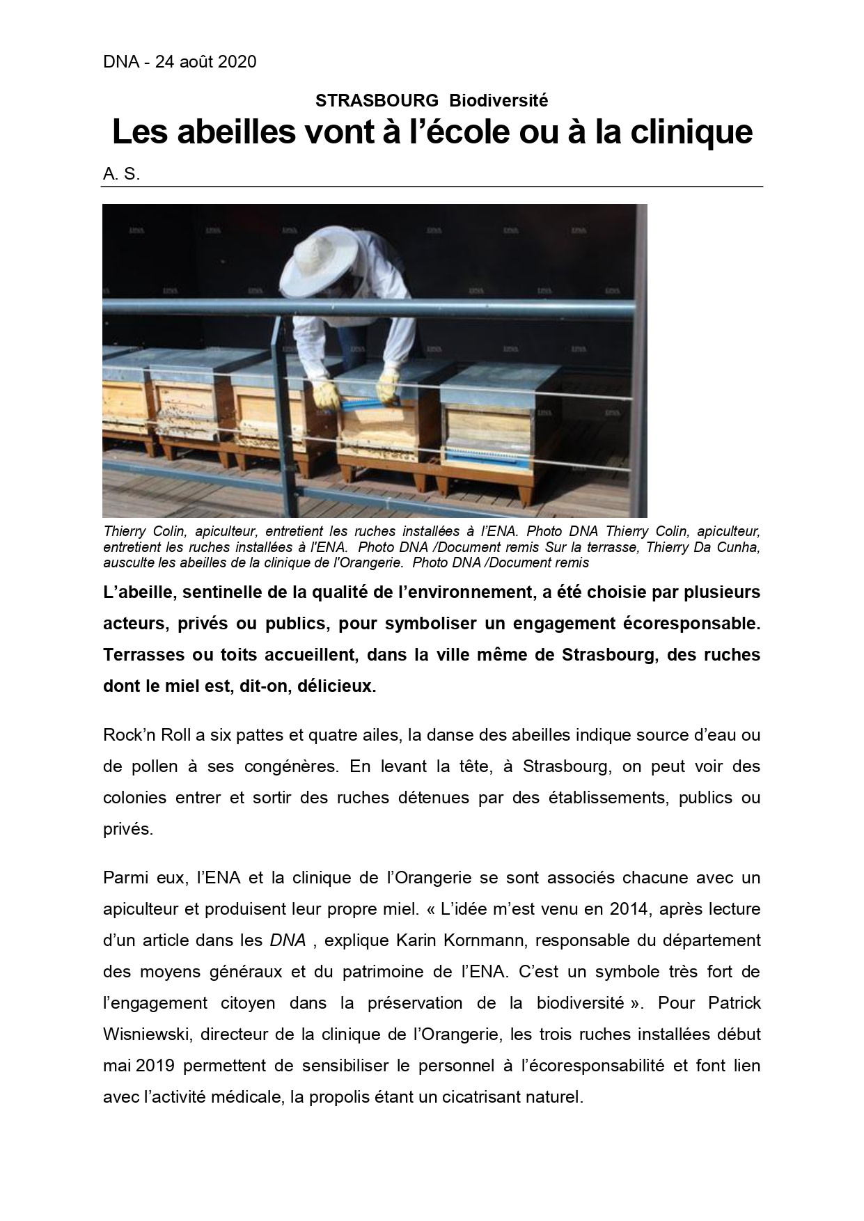 article DNA 24 08 2020