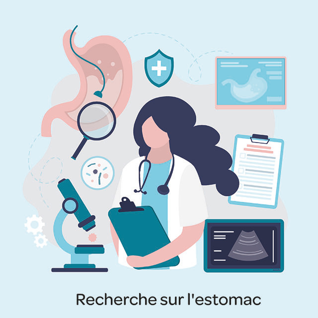 gastroscopie schéma