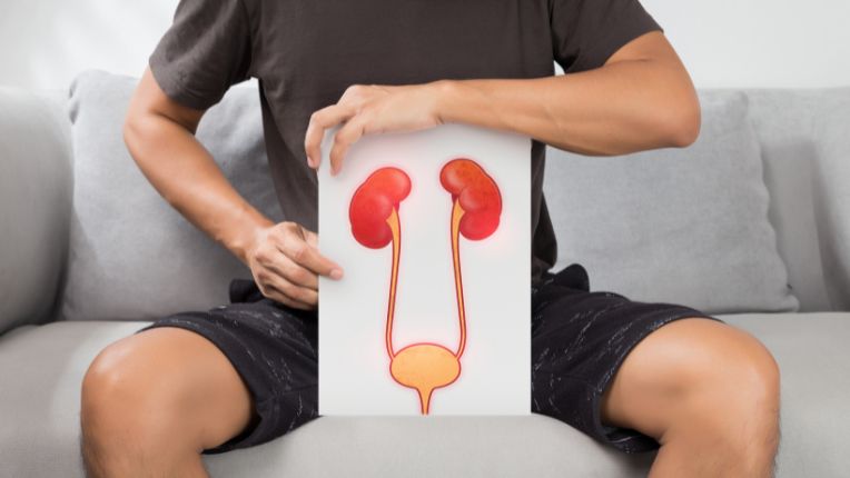 Sténose urétrale : un homme tient devant lui une pancarte représentant le système urinaire (rein, vessie, urètre).