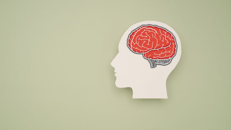 Vaccin contre la méningite à méningocoques, Lyon Parc. Dessin d'un cerveau coloré en rouge figuré dans un crâne.