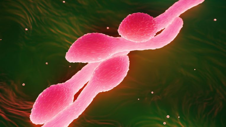 Vaccin tétanos Toulouse. Image de synthèse en 3D de la bactérie Clostridium Tetani au microscope.