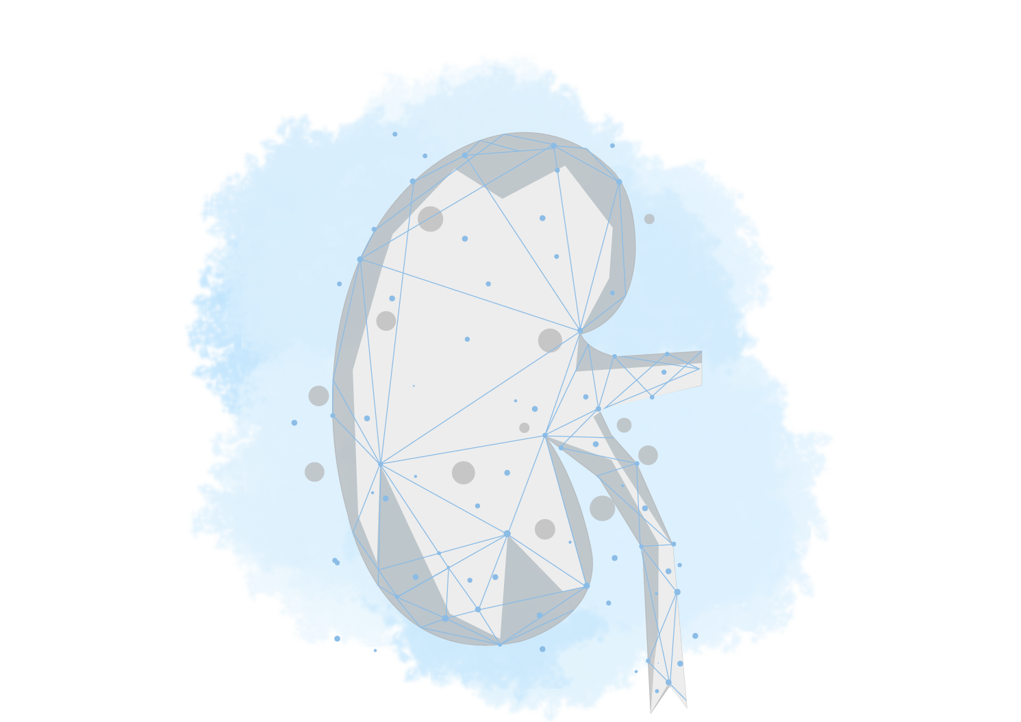 Pôle Urologie et Néphrologie