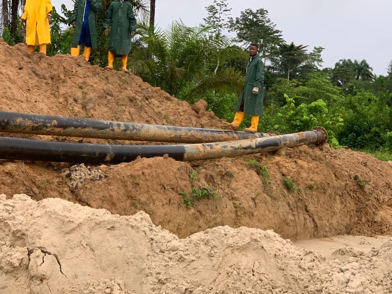 Enviromental Management