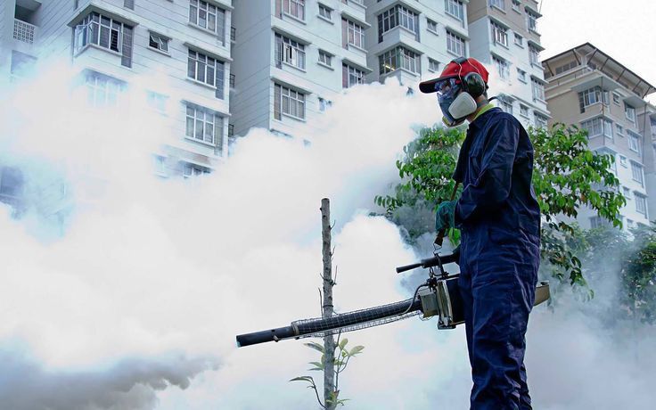 Fumigation and Pest Control