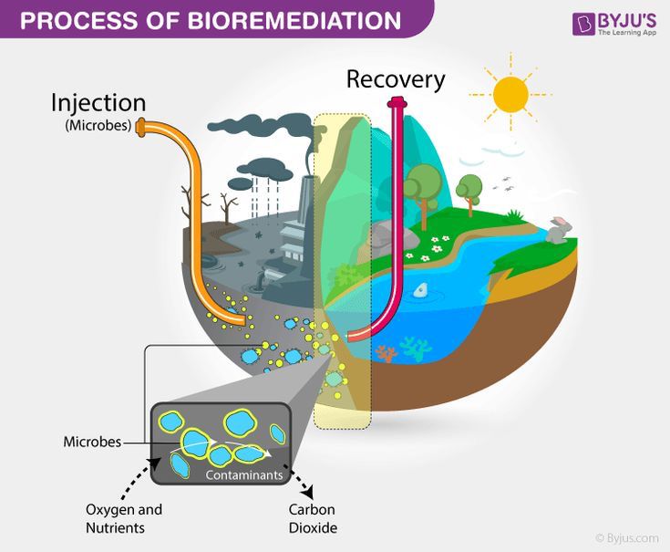 Environmental Impact Assessment