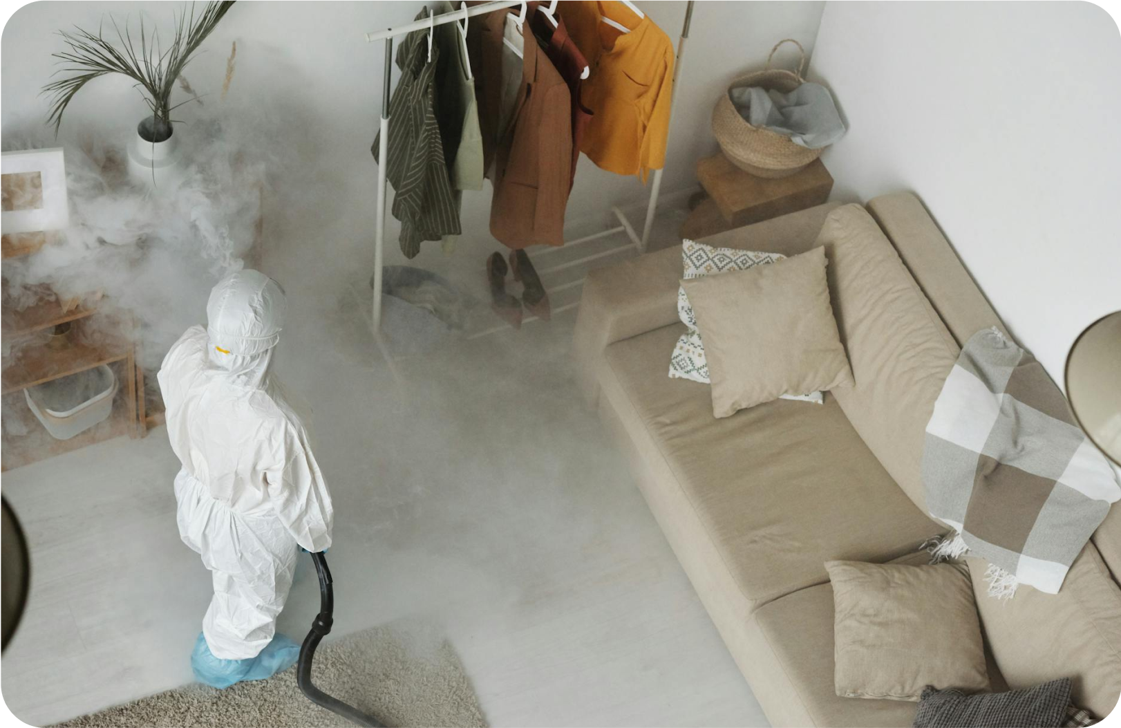 Carpet and Upholstery Cleaning