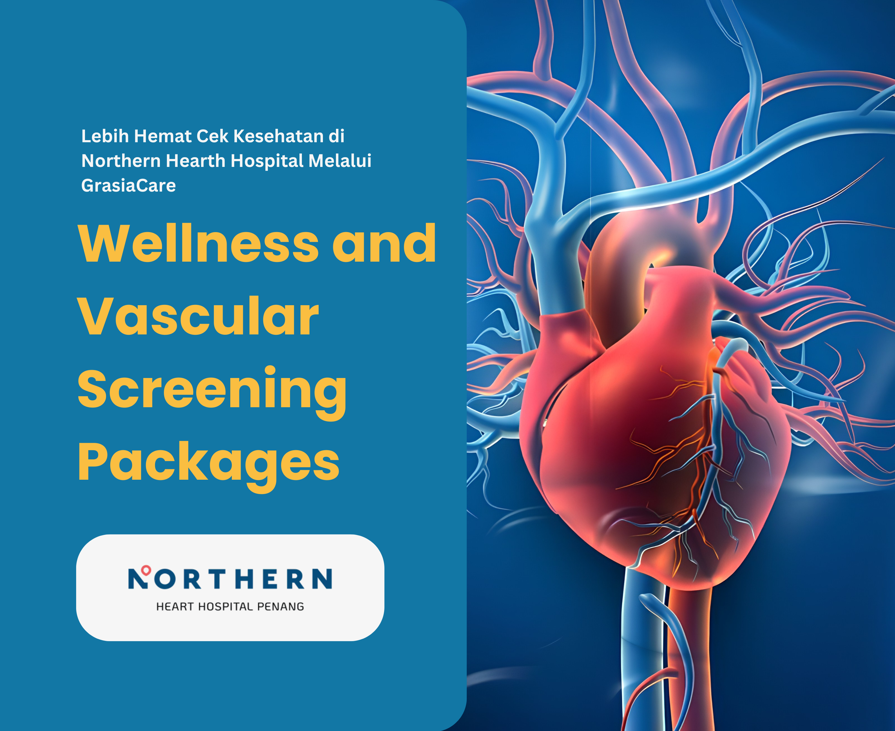 Wellness and Vascular Screening Packages