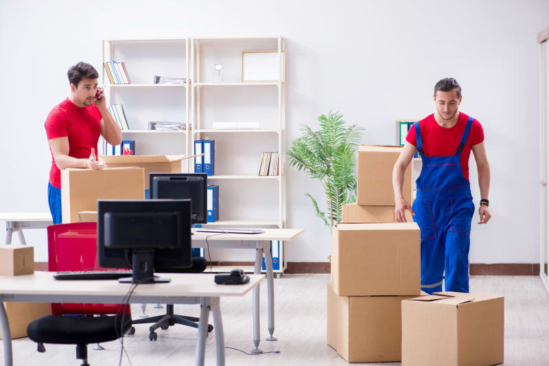 Local Movers South-East Melbourne