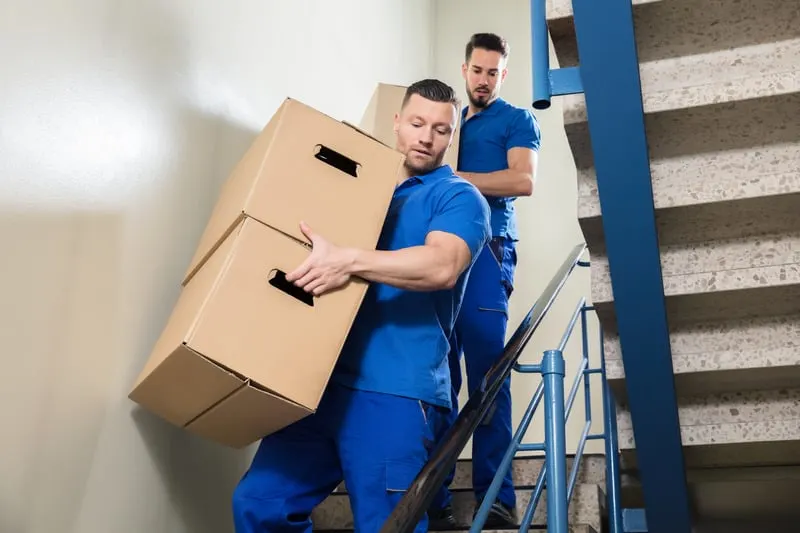 Interstate Removals