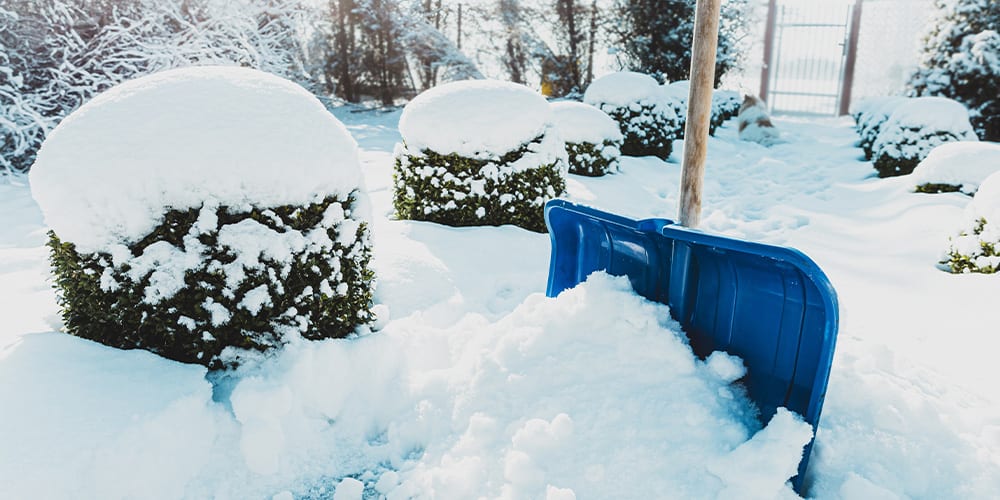 Discovering Calgary's Snowfall: How Much Snow Does Calgary Get? 5 Salisbury Greenhouse Alberta Managing Snow in the Landscape SHOVELING SNOW 1