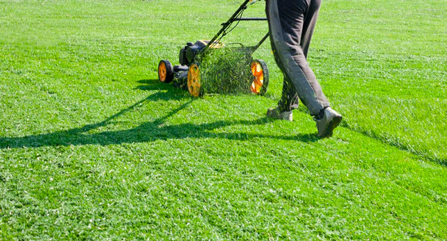 Lawn Maintenance and Snow Removal 2 61447723475064a3510bc927 Lawn Care and Lawn Maintenance