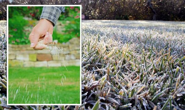 Lawn Maintenance and Snow Removal 4 lawn care tips hacks how to care for lawns in cold weather snow 1589948