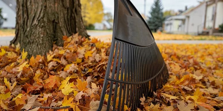 Fall Clean Up Services in Calgary: Preparing Your Lawn for Winter 4 Commercial fall landscape services calgary