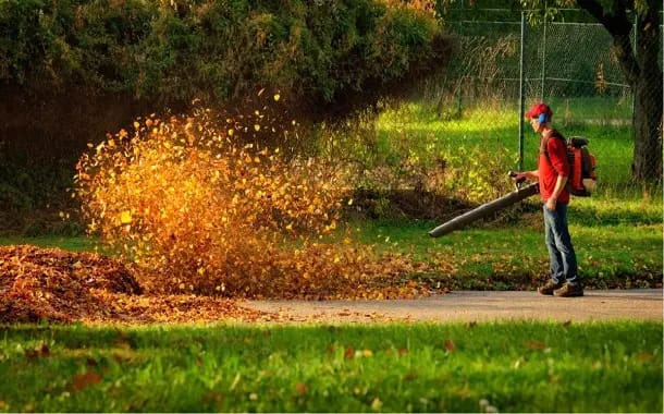 Fall Clean Up Services in Calgary: Preparing Your Lawn for Winter 5 Yard Cleaning Services Cost
