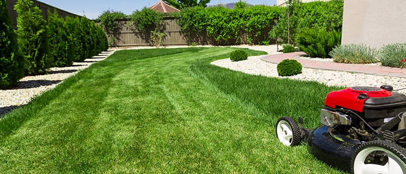 Expert Tips for Efficient Snow Removal and Lawn Care Services 2 what are the benefits of grass cutting lawn mowing f