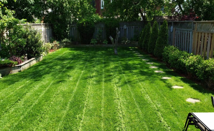 Comparing Lawn Care Package Prices in Calgary: What to Expect 2 Lawn Mowing 017 720x440 1