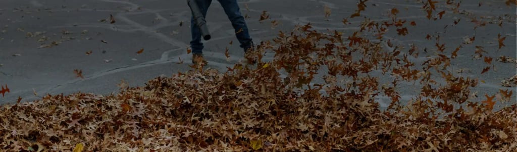 The Ultimate Guide to Somerset Junk Removal: Clearing Out Clutter Made Easy 4 leaf removal