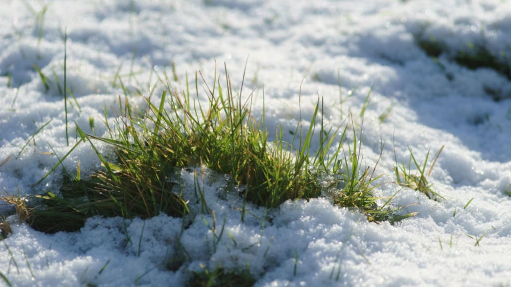 Lawn Maintenance and Snow Removal 6 YrHhzuTJJWAMPSAuNLXyZW