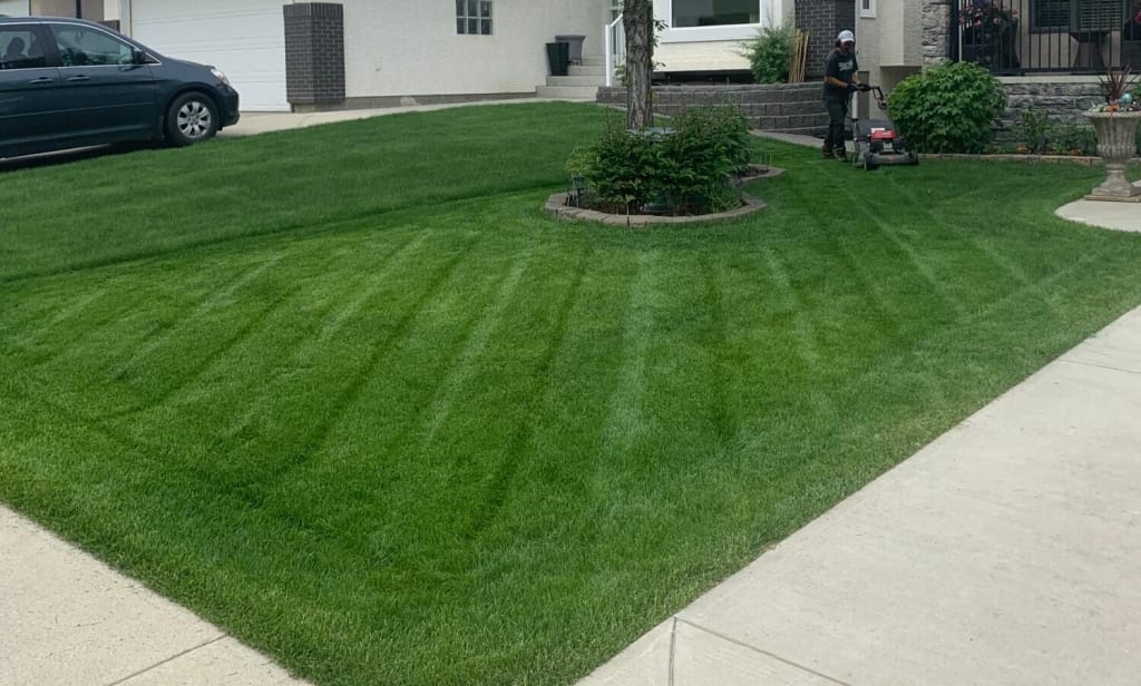 Comparing Lawn Care Package Prices in Calgary: What to Expect 1 nw calgary legendary lawn care