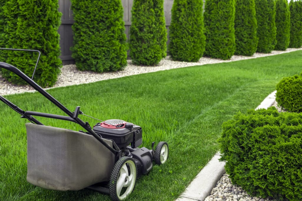 How To Hire A Gardener In Calgary? 3 Lawn mower on grass