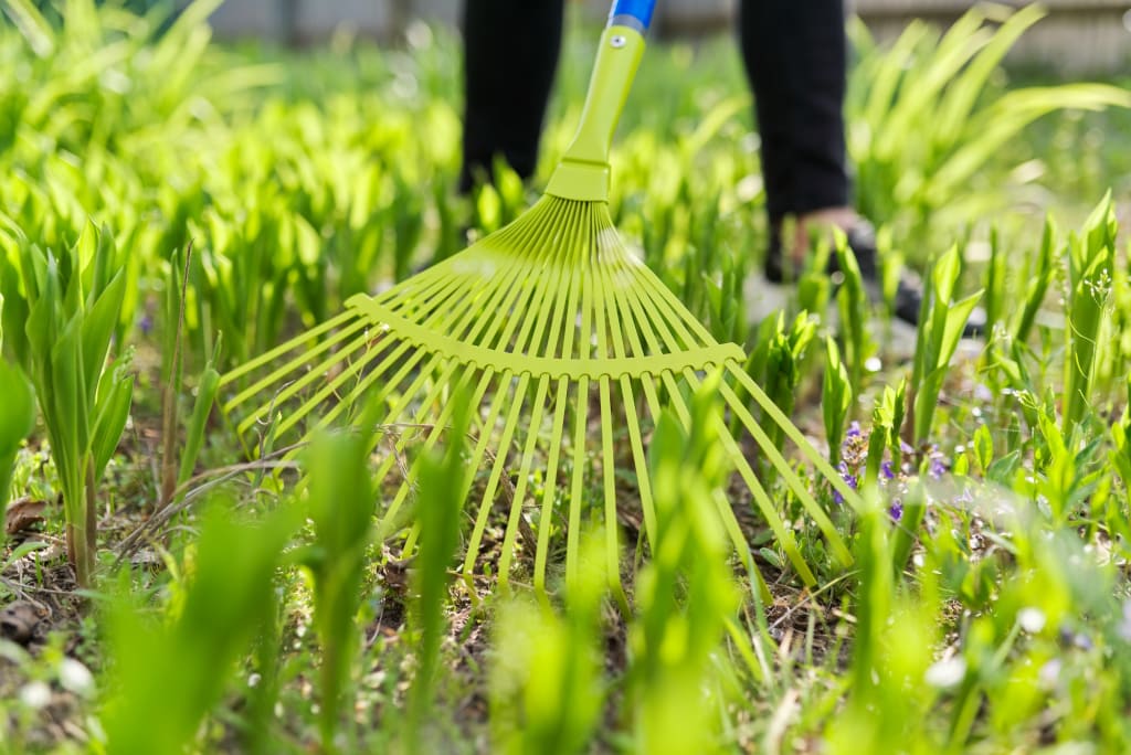 How To Hire A Gardener In Calgary? 2 Spring cleaning in the garden, closeup rake cleaning green grass