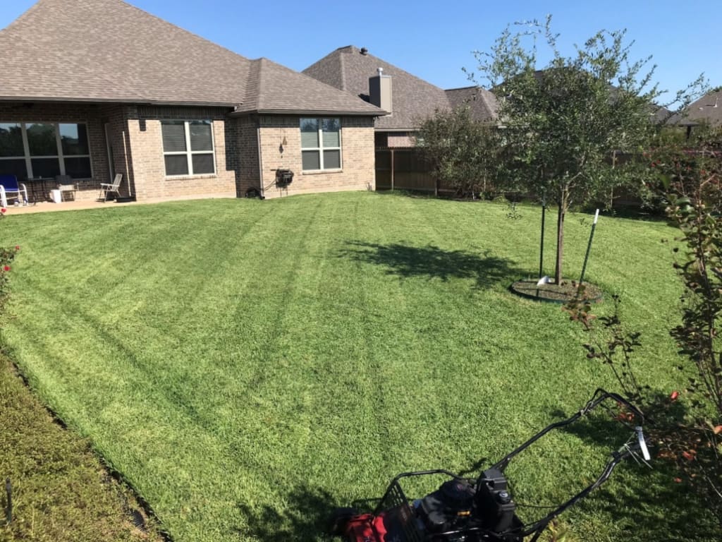 Comparing Lawn Care Package Prices in Calgary: What to Expect 3 lawncare 1030x773 1